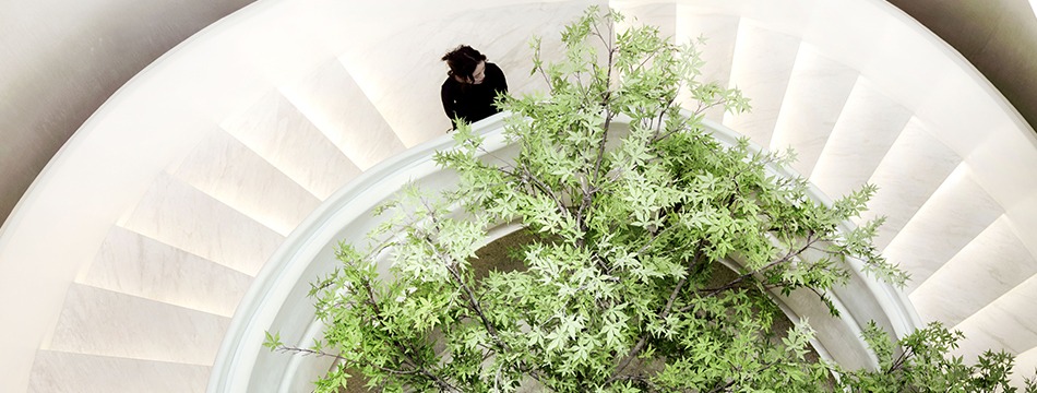 gws_950x360_photo_2